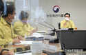 강원 홍천 돼지농장 'ASF 발생'... 긴급 차단방역
