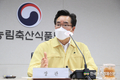 강원 홍천 돼지농장 'ASF 발생'... 긴급 차단방역
