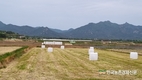 축산환경관리원, 지역상생 위한 농촌일손돕기 적극 앞장