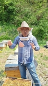 양봉산업 공익가치 높인다... 정부, 중장기 비젼 발표