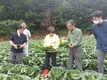 aT, 농축산물 수급불안 대응... 채소류 물가관리 총력 나서