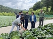 aT, 농축산물 수급불안 대응... 채소류 물가관리 총력 나서