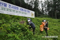 골칫거리 '칡덩굴' 제거... 숲도 가꾸고 한우농가 지원효과까지