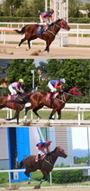 마사회-축산관련단체협의회 간 소통 간담회 개최
