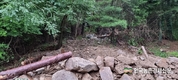 산림조합, 수해 현장서 복구 지원 총력