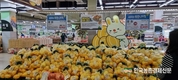 국내 최초 '인공지능 과일선별기' 개발 화제