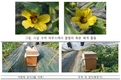딸기‧수박 재배전략...'화분 매개용 벌'은 지금부터 준비