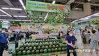 딸기‧수박 재배전략...'화분 매개용 벌'은 지금부터 준비