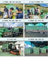 가락시장 '배추' 파렛트 하차거래 '청신호'