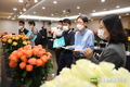 각양각색 '우수 장미품종’ 한자리에