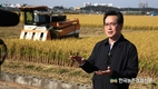 '가루쌀' 산업 활성화에 정부 초점