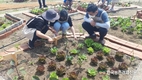 '치유농업' 효과 커...우울감 39%↓