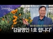 감귤명인 1호...불로황감귤농원 강만희 대표를 찾아서!