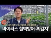 제주농업기술원 농산물원종장을 찾아서!