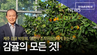 '제주감귤박람회' 개막...14일까지 열려