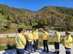 소나무재선충병 피해목, 에너지 자원 활용