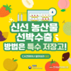 신선 농산물 '특수 저장고' 개발...농산물 선박 수출 큰 기대