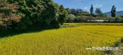 농정원 