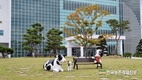 서울우유 '파업'...