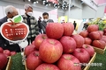 2022 대한민국 과일산업대전 성료