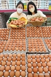 '계란' 121만개 1월중 수입키로...
