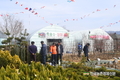 전국 '나무시장' 오픈...나무심기 