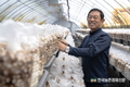 산림청, 3월 ‘이달의 임업인’...괴산 표고버섯 농가 전종화 씨