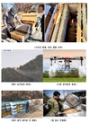꿀벌 집단폐사...'농가탓'에 양봉인들 분노