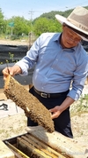 꿀벌 집단폐사...'농가탓'에 양봉인들 분노