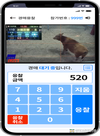 스마트 가축시장 플랫폼 고도화