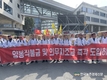 꿀벌 집단폐사...'농가탓'에 양봉인들 분노