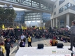 꿀벌 집단폐사...'농가탓'에 양봉인들 분노