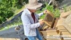 '벌꿀등급제' 시행 앞두고 관심 커