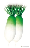 농우바이오, 