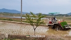 경농 본격적인 모내기 앞두고 '평양감사' 입제 추천