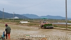 경농 본격적인 모내기 앞두고 '평양감사' 입제 추천