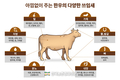 한우, “알고 보니 탄소저감 도와요”