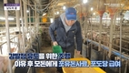 팜스코, 순회 양돈 세미나...