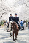 마사회,‘말마 프렌즈-쉽 데이’...말과 함께하는 '어린이 날'