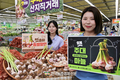 '햇 주대마늘' 출하!