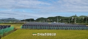 '농사용 전기료' 인상...농민단체들 인상중단 촉구