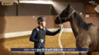 한국마사회, 말복지 향상을 위한 과학적 말 조련·조교법 연구결과 발표