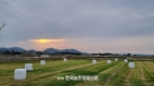 농민단체 