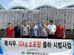 대아청과, 무 10kg 소포장 출하...