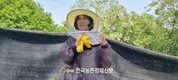 ‘뒤영벌’ 농가에 효자노릇(?)...화분매개로 딸기 생산 도왔다