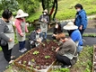 '치유농업' 산업화 확산 기대감 키워