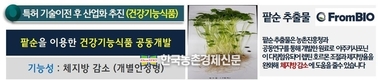 ‘팥순’ 체지방 감소 효과...새 소득원 기대