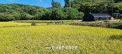귀농·귀촌 정보량 16.8만 건 1.5배↑