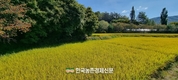 귀농·귀촌 정보량 16.8만 건 1.5배↑