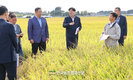 쌀값 오름세 '들썩들썩'...쌀 생산 368만톤에 그칠전망